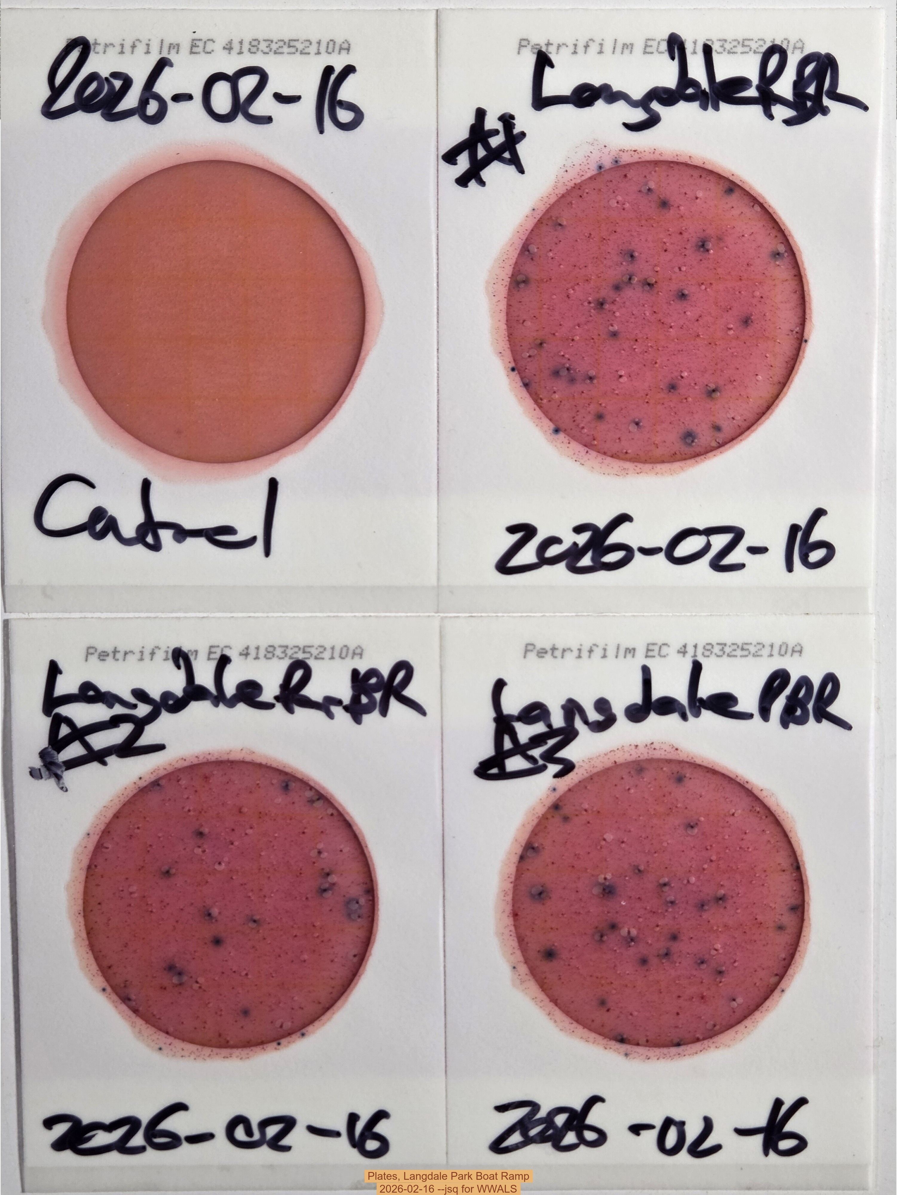 Plates, Langdale Park Boat Ramp, 2026-02-16 --jsq for WWALS