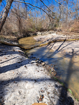 [WaterGoat @ Sugar Creek, 2026-02-17 --Suzy Hall for WWALS]