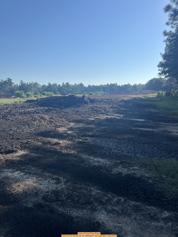 [East of Paul King Road, 2025:09:04 09:09:34, 31.2684333, -83.2453083 --GA-EPD]