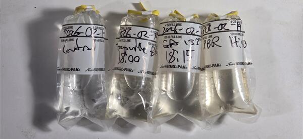 Three samples, Withlacoochee and Little Rivers, 2026-02-19 --jsq for WWALS