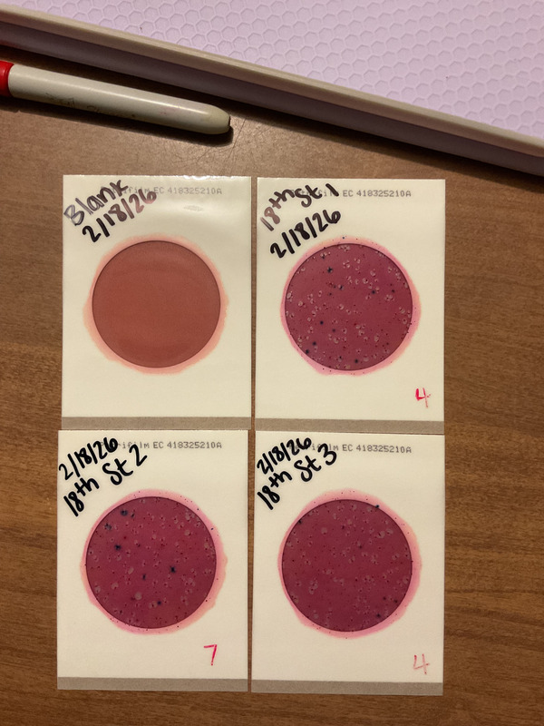 [Plates, 716 18th Street, Tifton, GA 2026-02-19 --Isis Swartz for WWALS]