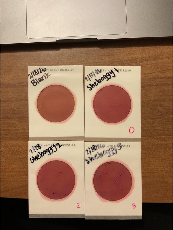 [Plates, Sheboggy Boat Ramp 2026-02-19 --Isis Swartz for WWALS]