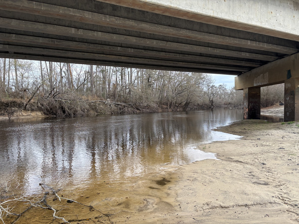 [Willacoochee Landing, Alapaha River @ GA 135 2026-02-19 --Isis Swartz for WWALS]