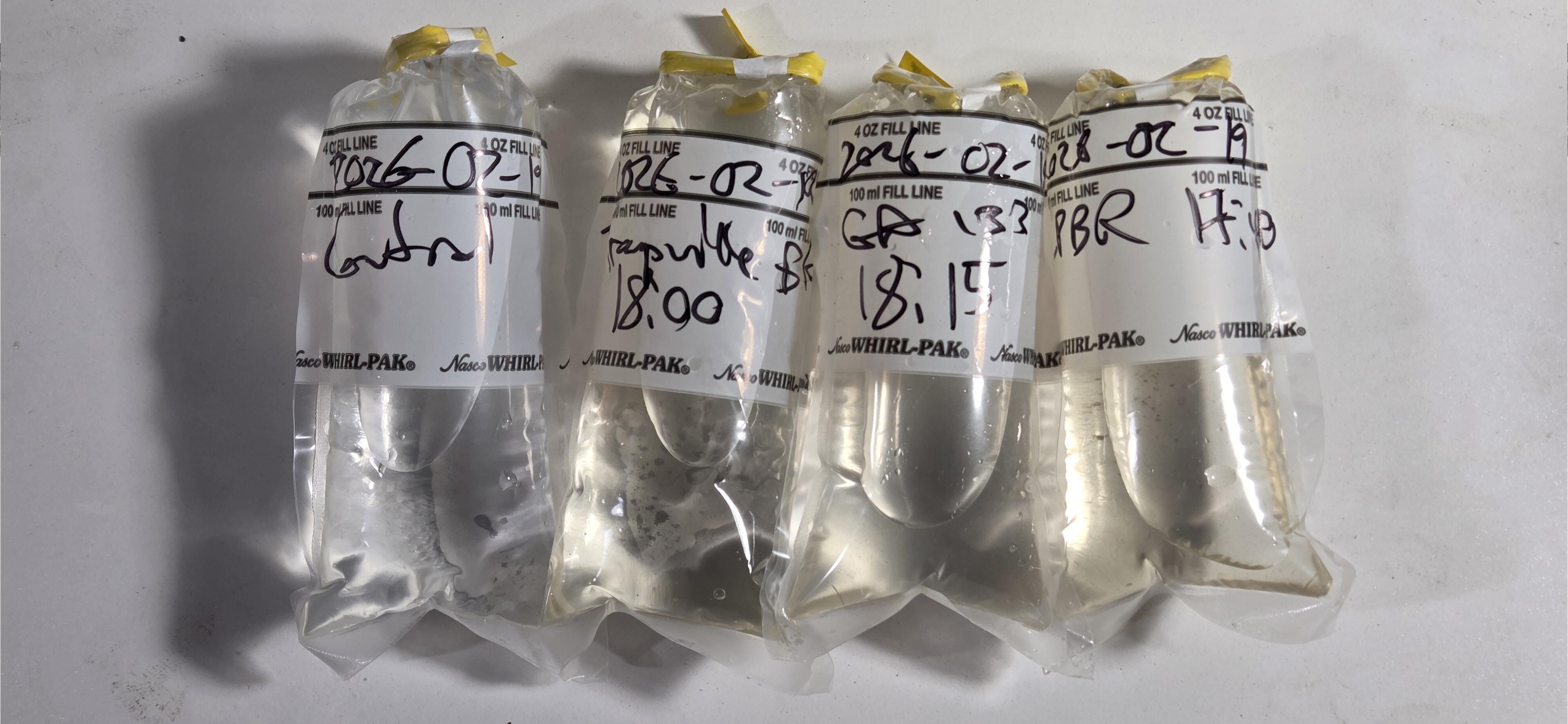 Three samples, Withlacoochee and Little Rivers, 2026-02-19 --jsq for WWALS