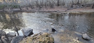 [Fish weir, Troupville Boat Ramp, Little River @ GA 133 2026-02-19 --jsq for WWALS]