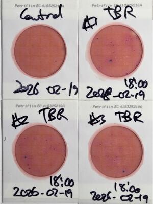 [Plates, Troupville Boat Ramp 2026-02-19 --jsq for WWALS]