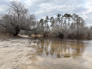 [Upstream, Willacoochee Landing, Alapaha River @ GA 135 2026-02-19 --Isis Swartz for WWALS]