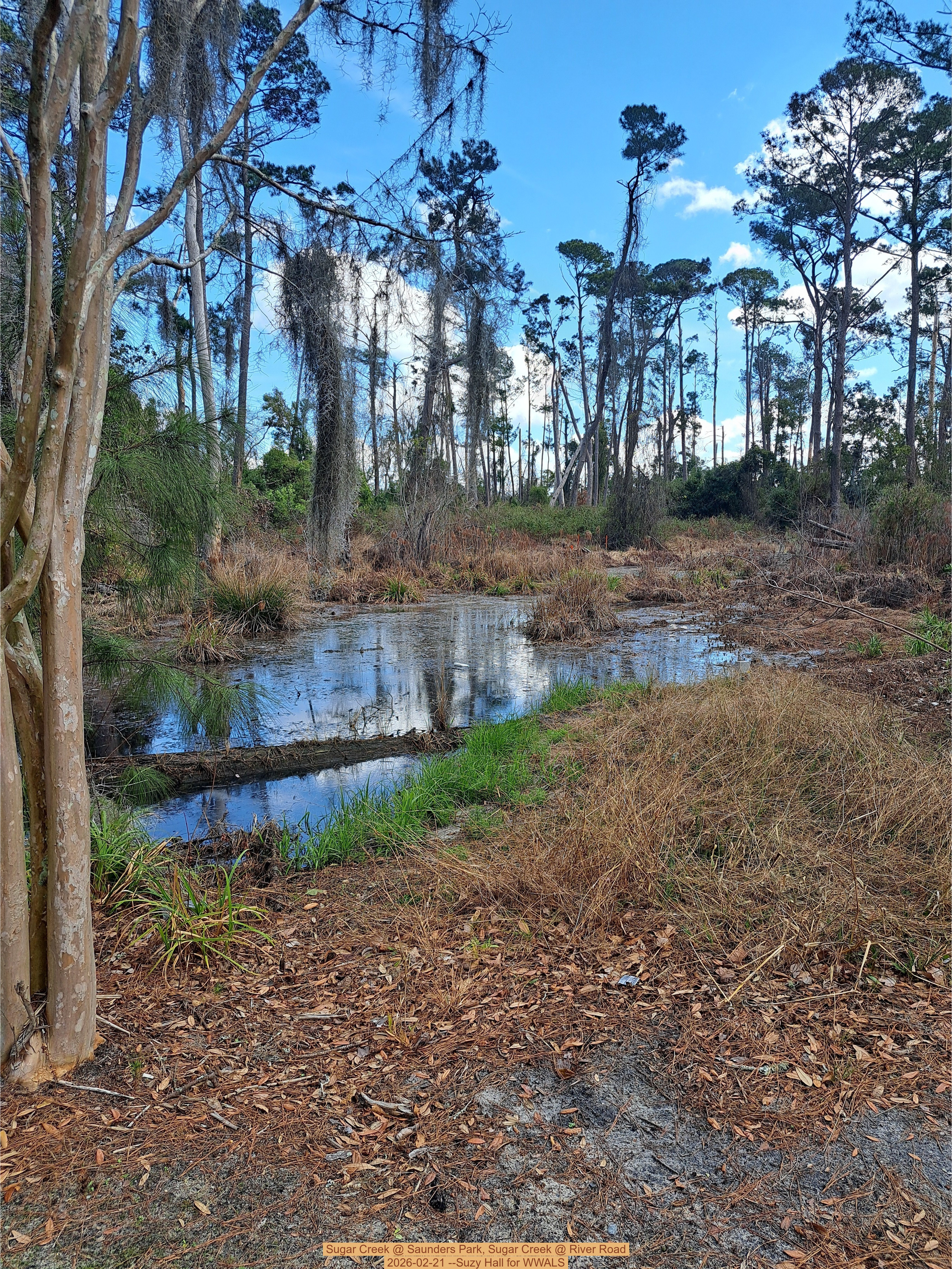Sugar Creek @ Saunders Park, Sugar Creek @ River Road 2026-02-21 --Suzy Hall for WWALS