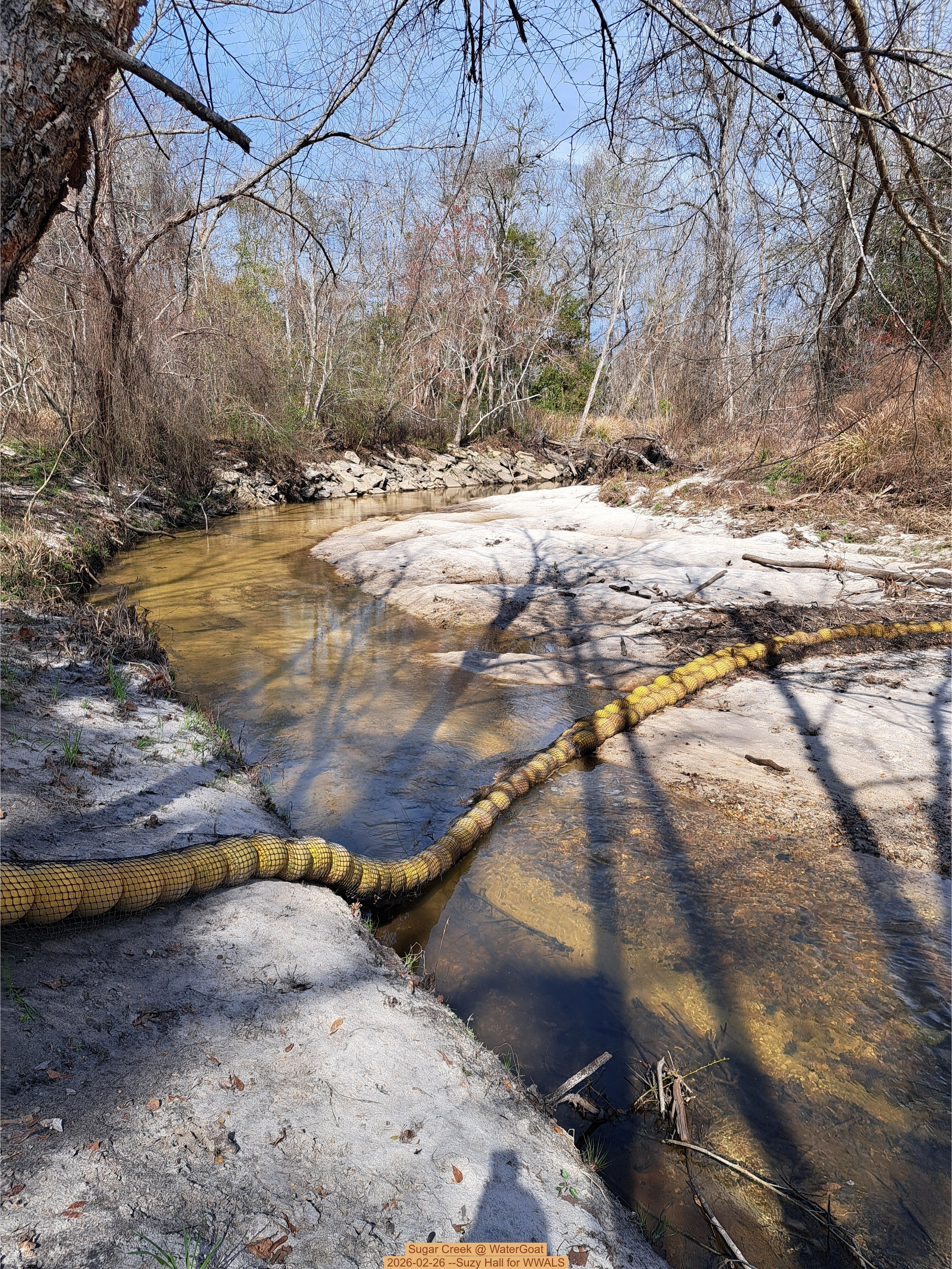 Sugar Creek @ WaterGoat 2026-02-26 --Suzy Hall for WWALS
