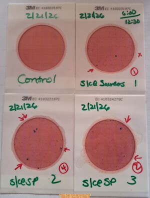 [Plates, Sugar Creek @ Saunders Park 2026-02-21 --Suzy Hall for WWALS]