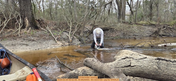 Underwater sawing, 2026:02:28 09:52:48, 30.8629493, -83.3223149 --jsq for WWALS