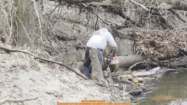 Movie: Another cut did it, 2026:02:28 12:17:36, 30.8636643, -83.3229772 (118M) --jsq for WWALS