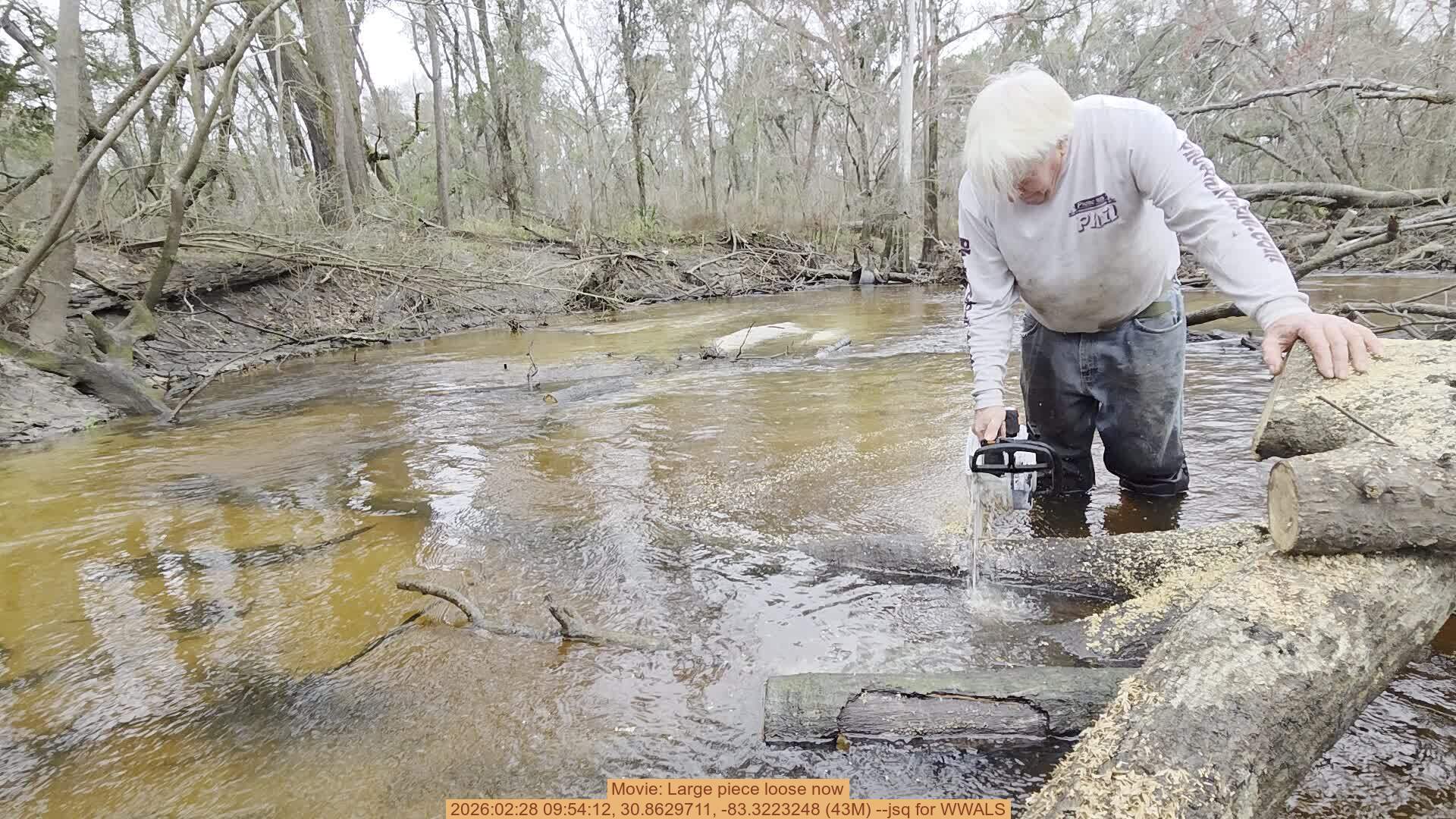 Movie: Large piece loose now, 2026:02:28 09:54:12, 30.8629711, -83.3223248 (43M) --jsq for WWALS