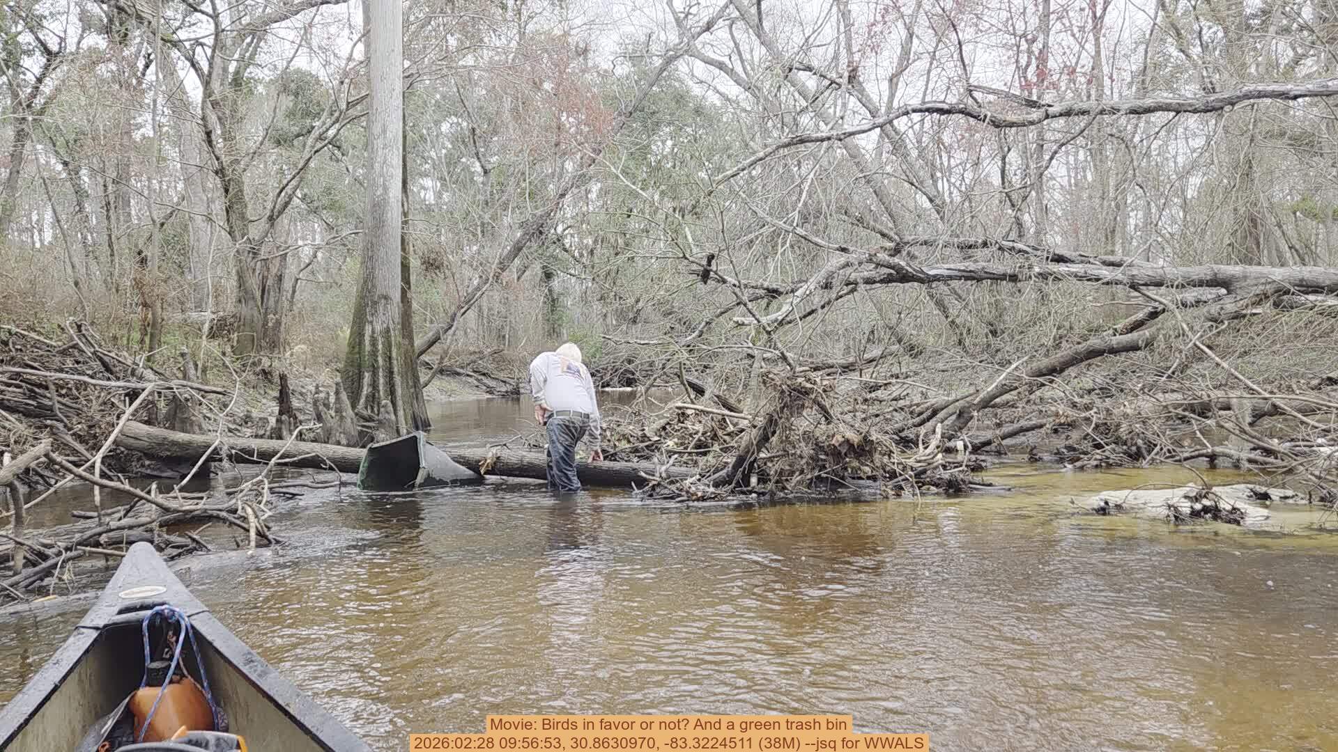 Movie: Birds in favor or not? And a green trash bin, 2026:02:28 09:56:53, 30.8630970, -83.3224511 (38M) --jsq for WWALS