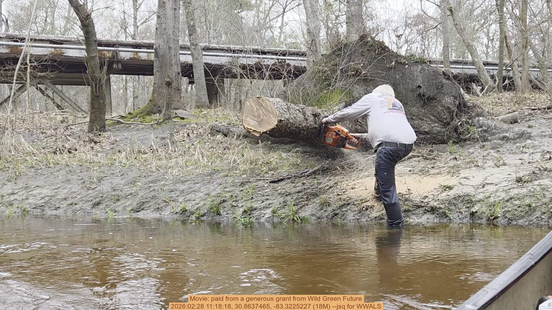 Movie: paid from a generous grant from Wild Green Future, 2026:02:28 11:18:18, 30.8637465, -83.3225227 (18M) --jsq for WWALS