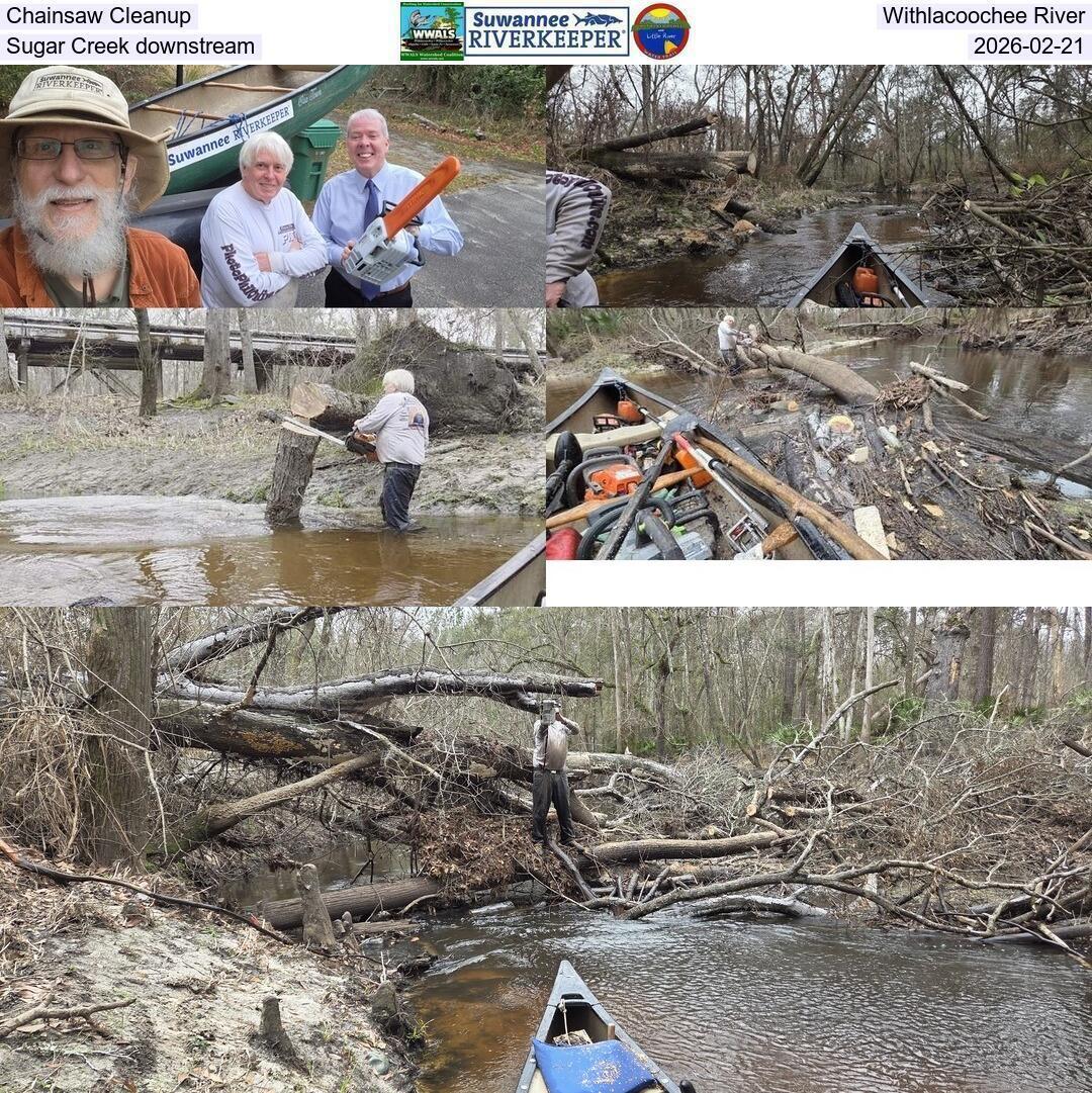 Chainsaw Cleanup, Withlacoochee River, Sugar Creek downstream, 2026-02-21
