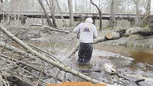 [Movie: Got branches, now the trunk, 2026:02:28 11:13:13, 30.8637334, -83.3225369 (36M) --jsq for WWALS]