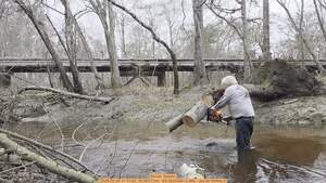 [Movie: Splash, 2026:02:28 11:14:22, 30.8637334, -83.3225369 (3.8M) --jsq for WWALS]