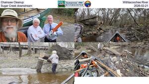 [Chainsaw Cleanup, Withlacoochee River, Sugar Creek downstream, 2026-02-21]