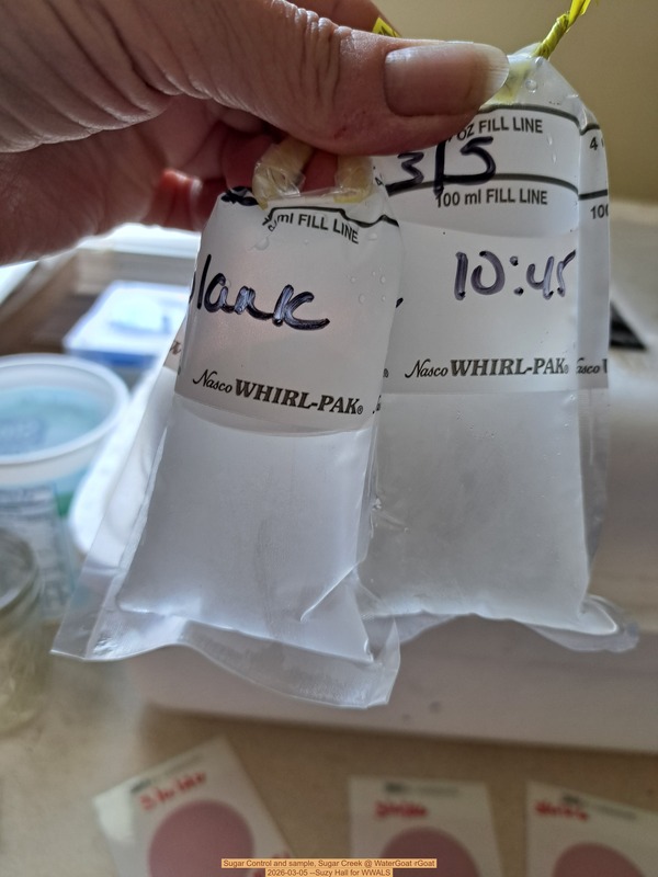 Control and sample, Sugar Creek @ WaterGoat 2026-03-05 --Suzy Hall for WWALS