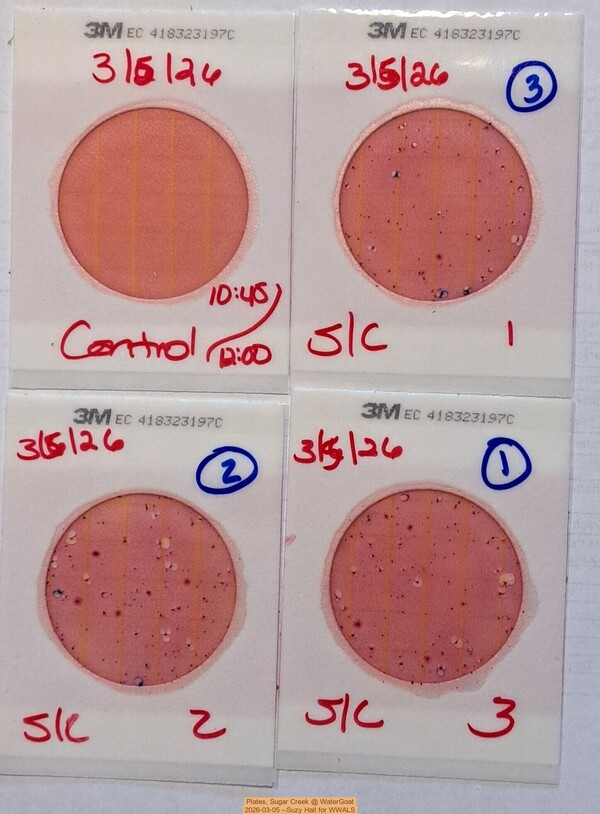 Plates, Sugar Creek @ WaterGoat 2026-03-05 --Suzy Hall for WWALS