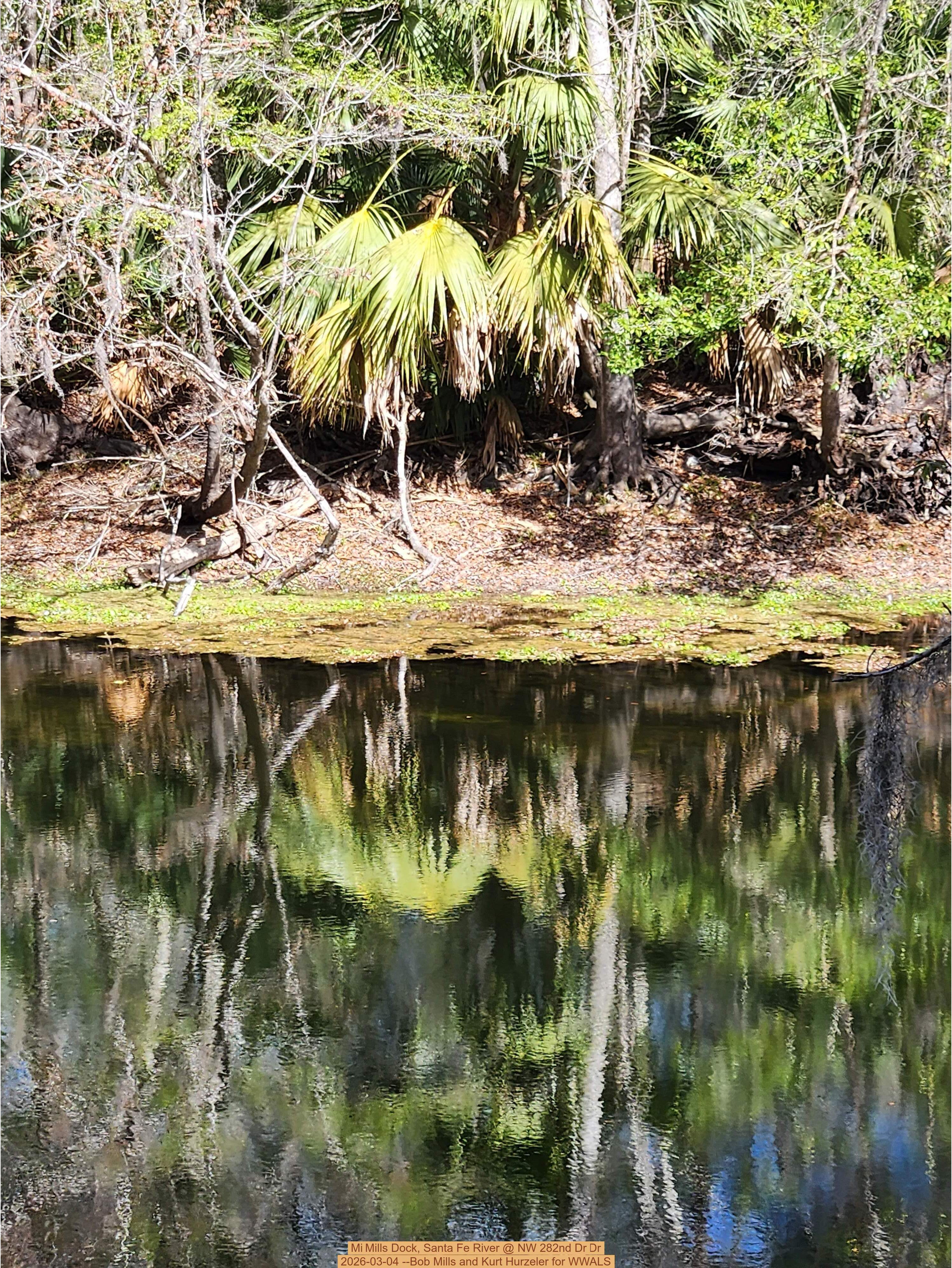 Mills Dock, Santa Fe River @ NW 282nd Dr 2026-03-04 --Bob Mills and Kurt Hurzeler for WWALS
