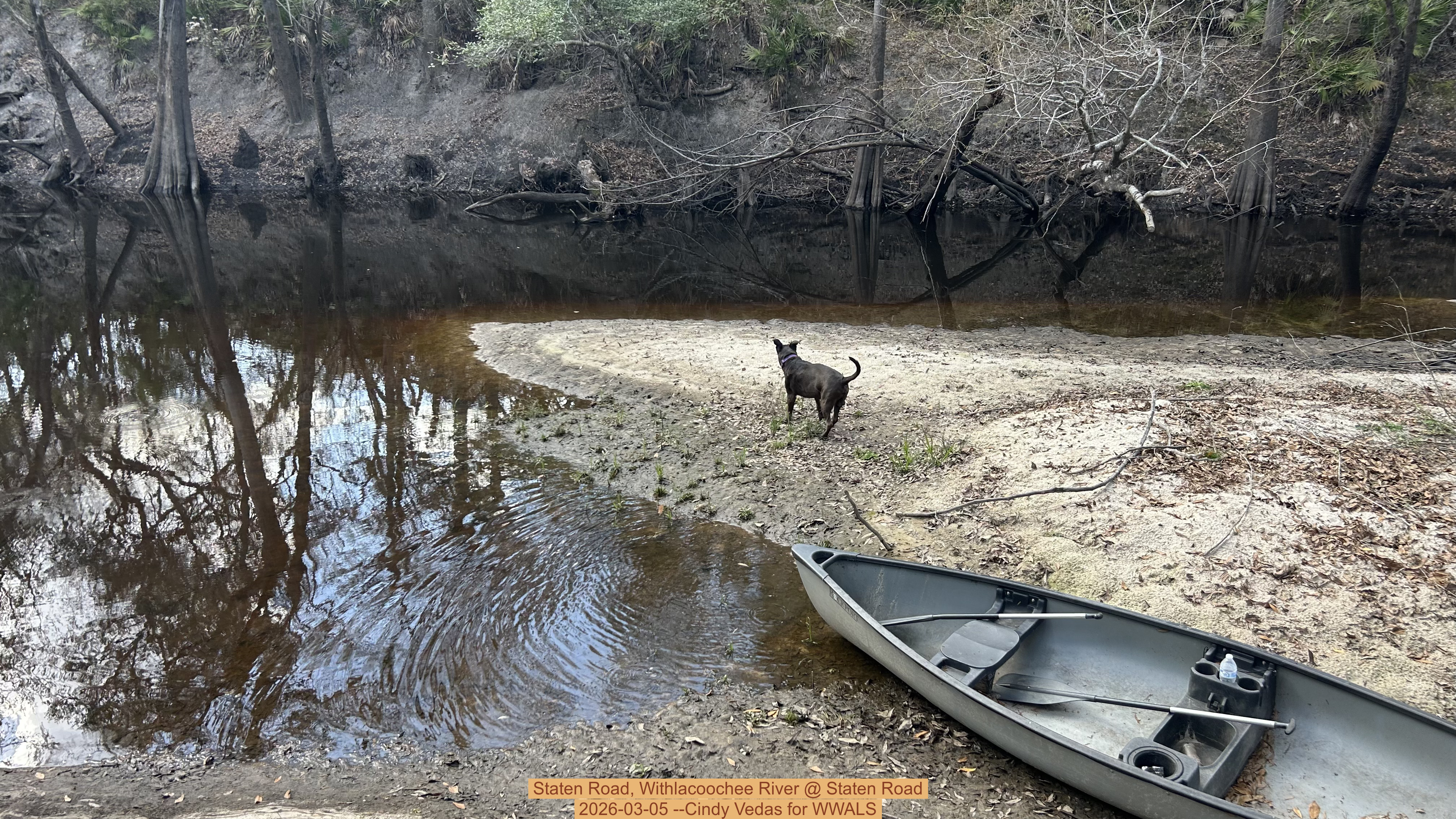Staten Road, Withlacoochee River @ Staten Road 2026-03-05 --Cindy Vedas for WWALS