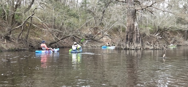 [Around a cypress, 2026:03:07 10:48:34, 30.8361909, -83.3597234 --jsq for WWALS]