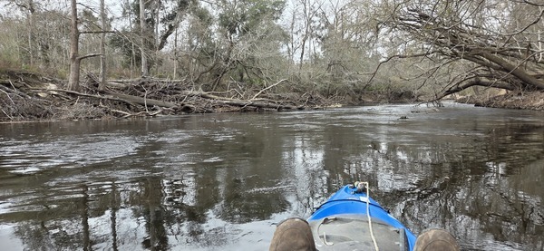 [20260307 110726, 2026:03:07 11:07:26 --jsq for WWALS]