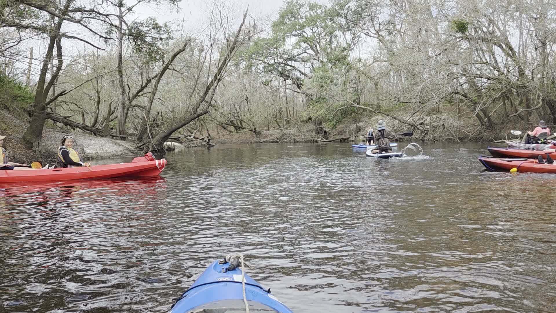 Movie: There is no snake, 2026:03:07 10:27:31, 30.8415068, -83.3527299 (15M) --jsq for WWALS