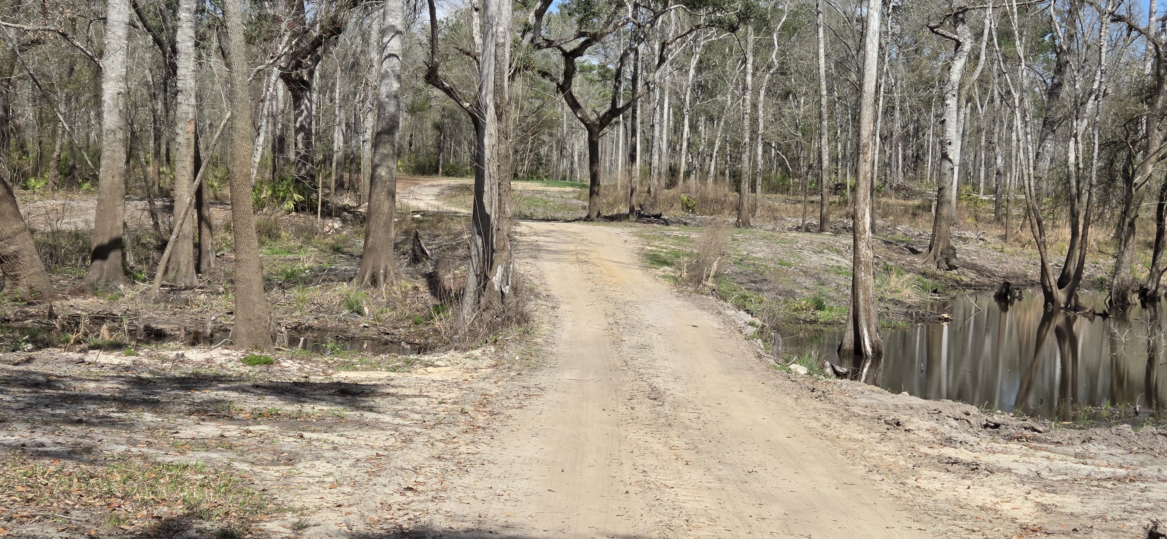 Paul Deloach bridge over Paul Deloach Creek, 2026:03:07 12:01:08, 30.8396460, -83.3700295 --jsq for WWALS