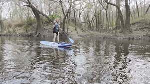 [Movie: A little creek or slough, 2026:03:07 10:32:07, 30.8400858, -83.3543720 (10M) --jsq for WWALS]