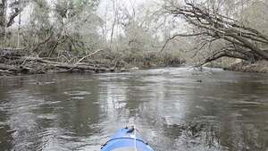 [Movie: We chainsawed through here, 2026:03:07 11:07:31 (8.3M) --jsq for WWALS]