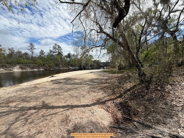 [Naylor Park Beach, Alapaha River @ US 84 2026-03-12 --Kim Tanner for WWALS]