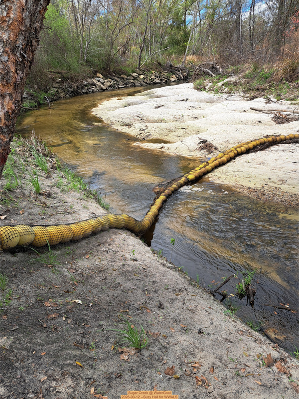 [Sugar Creek @ WaterGoat 2026-03-12 --Suzy Hall for WWALS]