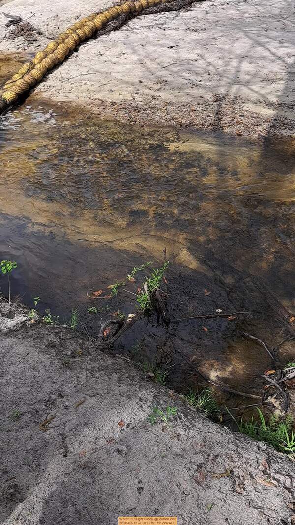 Water in Sugar Creek @ WaterGoat 2026-03-12 --Suzy Hall for WWALS