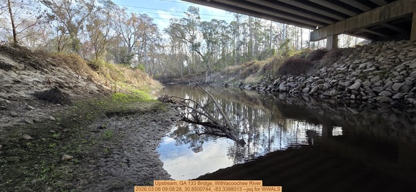 Upstream, GA 133 Bridge, Withlacoochee River, 2026:03:06 09:08:28, 30.8500744, -83.3398013 --jsq for WWALS