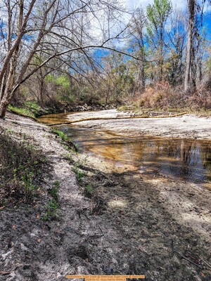 [Downstream, Sugar Creek @ WaterGoat, Sugar Creek @ WaterGoat 2026-03-12 --Suzy Hall for WWALS]