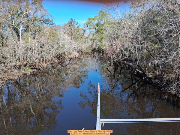 [Sheboggy Boat Ramp, Alapaha River @ US 82 2026-03-14 --Heather Brasell for WWALS]