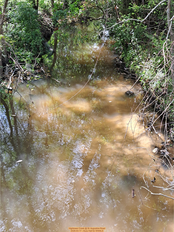 [Hightower Creek @ St. Augustine Road 2026-03-17 --Suzy Hall for WWALS]