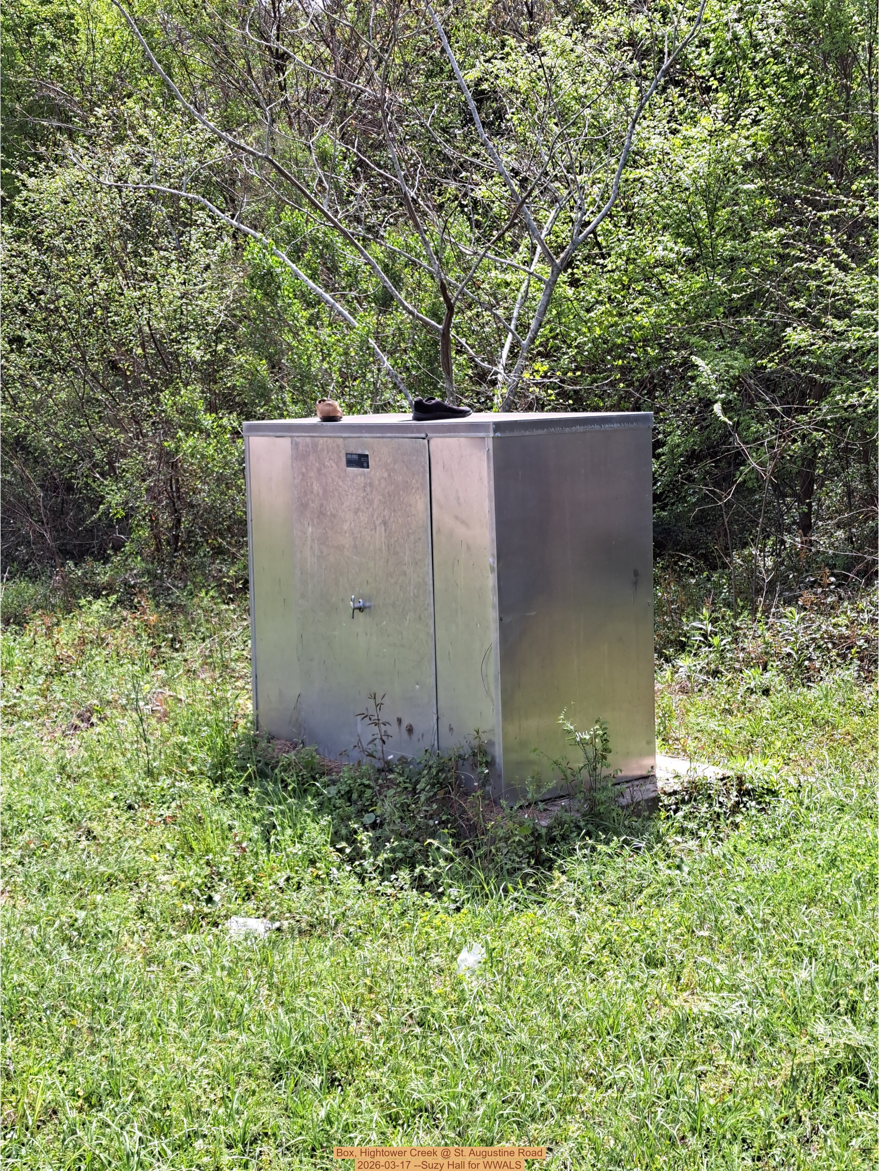 Box, Hightower Creek @ St. Augustine Road 2026-03-17 --Suzy Hall for WWALS