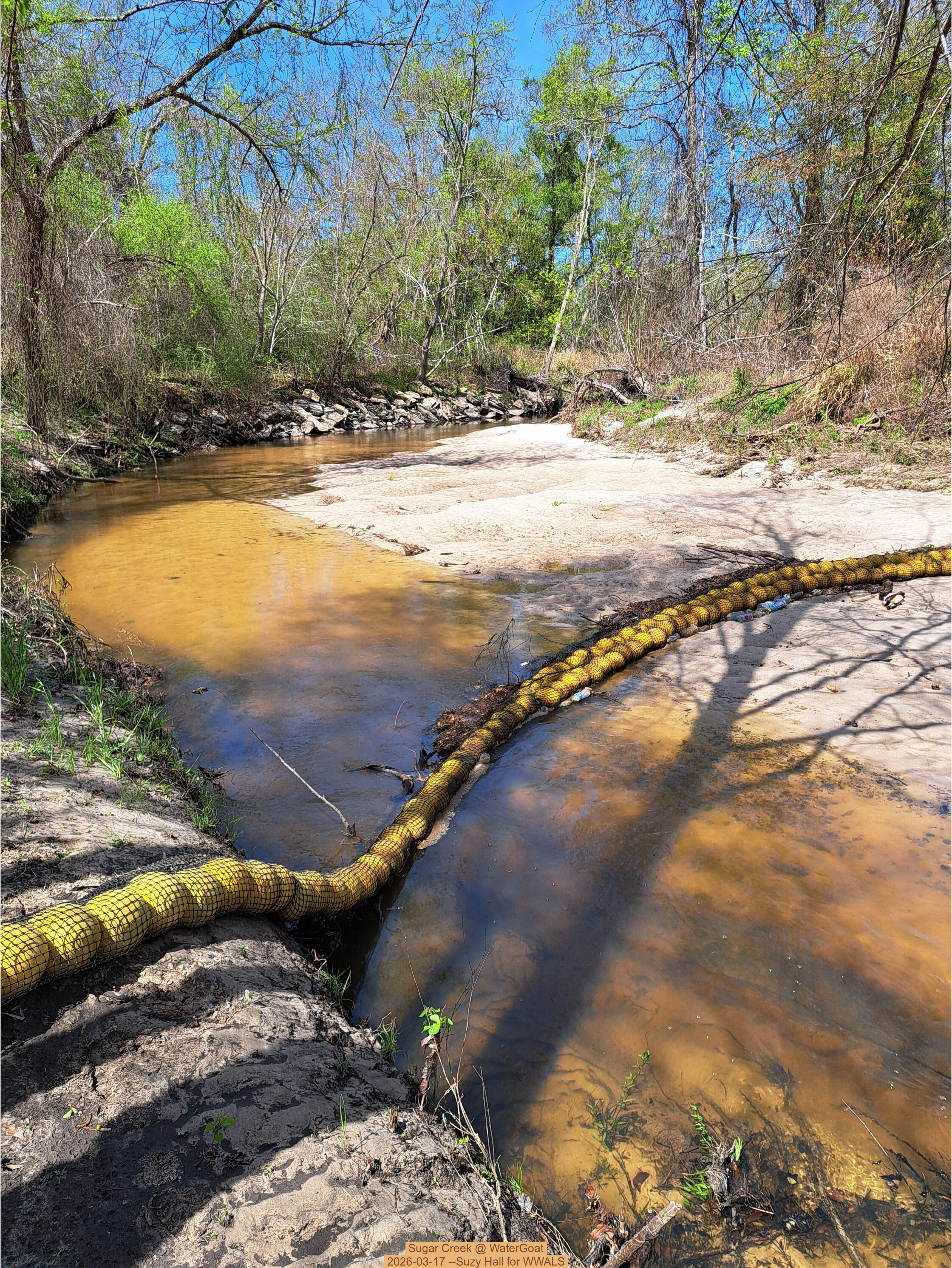 Sugar Creek @ WaterGoat 2026-03-17 --Suzy Hall for WWALS