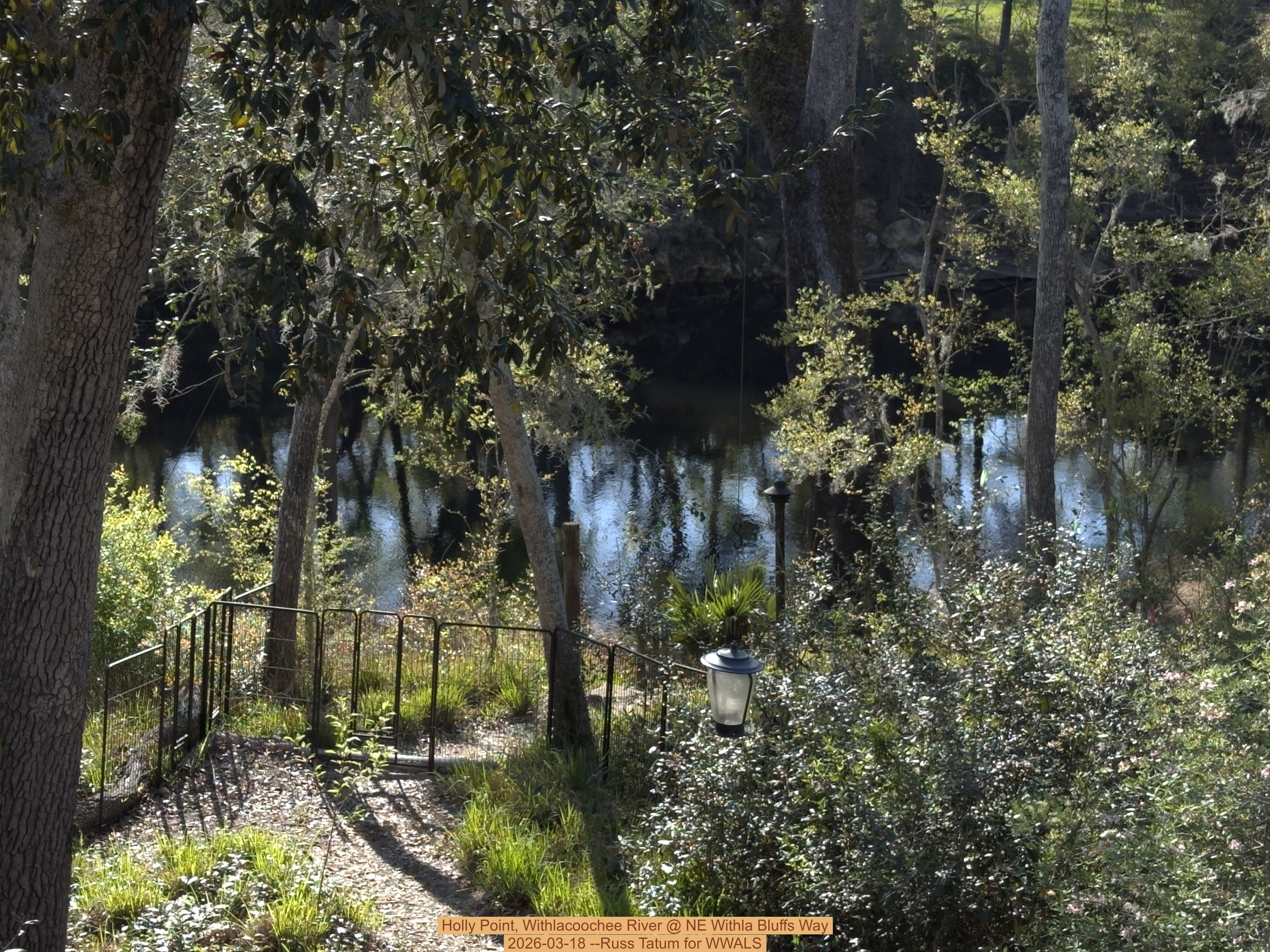 Holly Point, Withlacoochee River @ NE Withla Bluffs Way 2026-03-18 --Russ Tatum for WWALS
