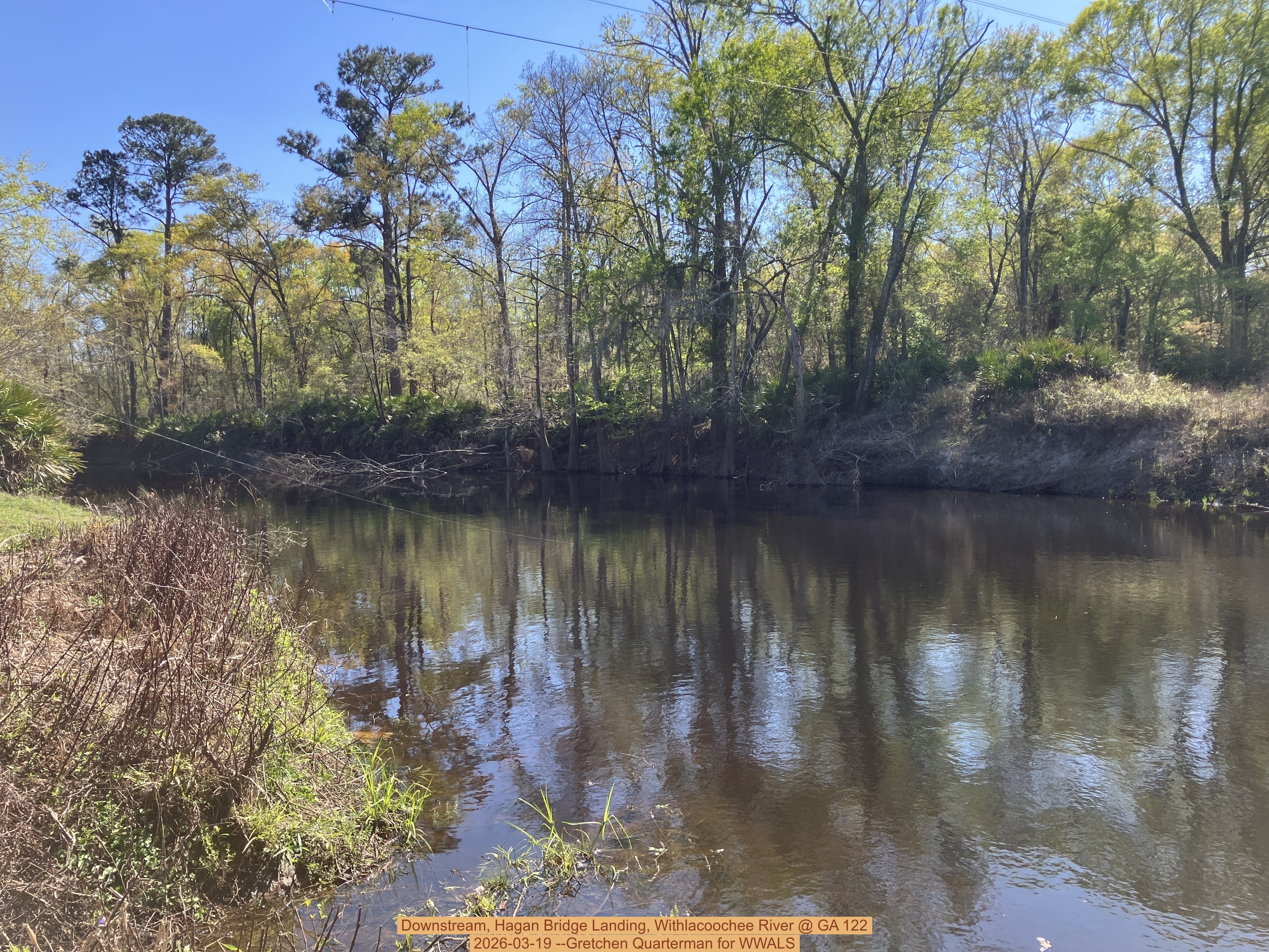 Downstream, Hagan Bridge Landing, Withlacoochee River @ GA 122 2026-03-19 --Gretchen Quarterman for WWALS