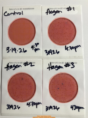 [Plates, Hagan Bridge Landing 2026-03-19 --Gretchen Quarterman for WWALS]
