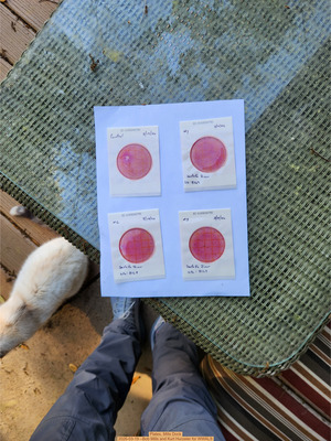 [Plates, Mills Dock 2026-03-19 --Bob Mills and Kurt Hurzeler for WWALS]