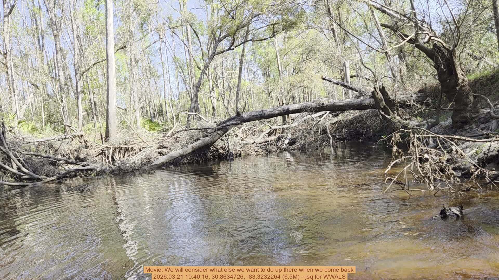 Movie: We will consider what else we want to do up there when we come back, 2026:03:21 10:40:16, 30.8634726, -83.3232264 (6.5M) --jsq for WWALS