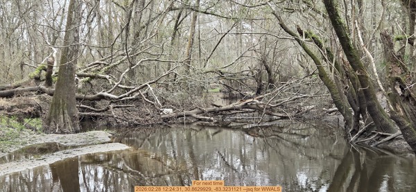 [For next time, 2026:02:28 12:24:31, 30.8629929, -83.3231121 --jsq for WWALS]