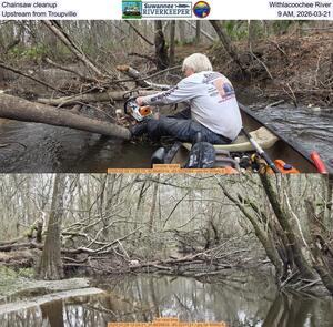 [Chainsaw cleanup, Withlacoochee River, Upstream from Troupville, 9 AM, 2026-03-21]