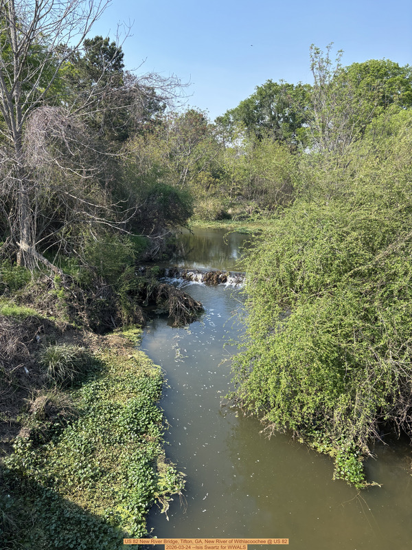 [US 82 New River Bridge, Tifton, GA, New River of Withlacoochee @ US 82 2026-03-24 --Isis Swartz for WWALS]